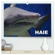 Cover-Bild zum Titel 'Haie (hochwertiger Premium Wandkalender 2026 DIN A2 quer), Kunstdruck in Hochglanz' von 'Elisabeth Stanzer'