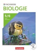 Cover-Bild zum Titel 'Fachwerk Biologie 5./6. Schuljahr - Baden-Württemberg ab 2026 - Schulbuch' von ''