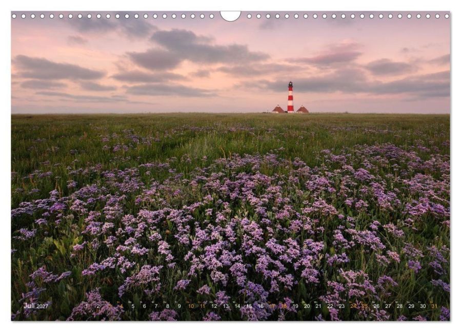 InsideView 12