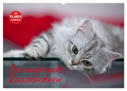 Cover-Bild zum Titel 'Bezaubernde Rassekatzen (Wandkalender 2026 DIN A2 quer), CALVENDO Monatskalender' von 'Melanie Viola'