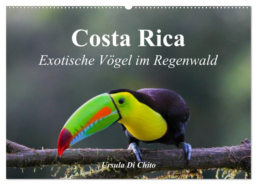 Costa Rica - Exotische Vögel im Regenwald (Wandkalender 2026 DIN A2 quer), CALVENDO Monatskalender - Ursula Di Chito