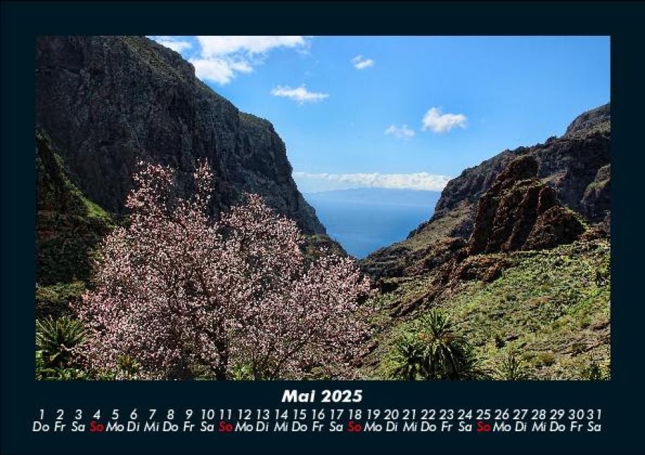 InsideView 9