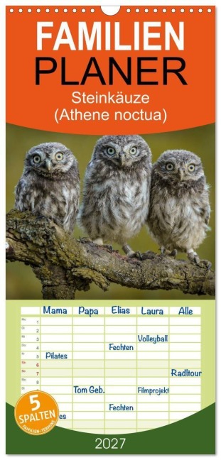 Familienplaner 2027 - Steinkäuze (Athene noctua) mit 5 Spalten (Wandkalender, 21 x 45 cm) CALVENDO - Winfried Rusch
