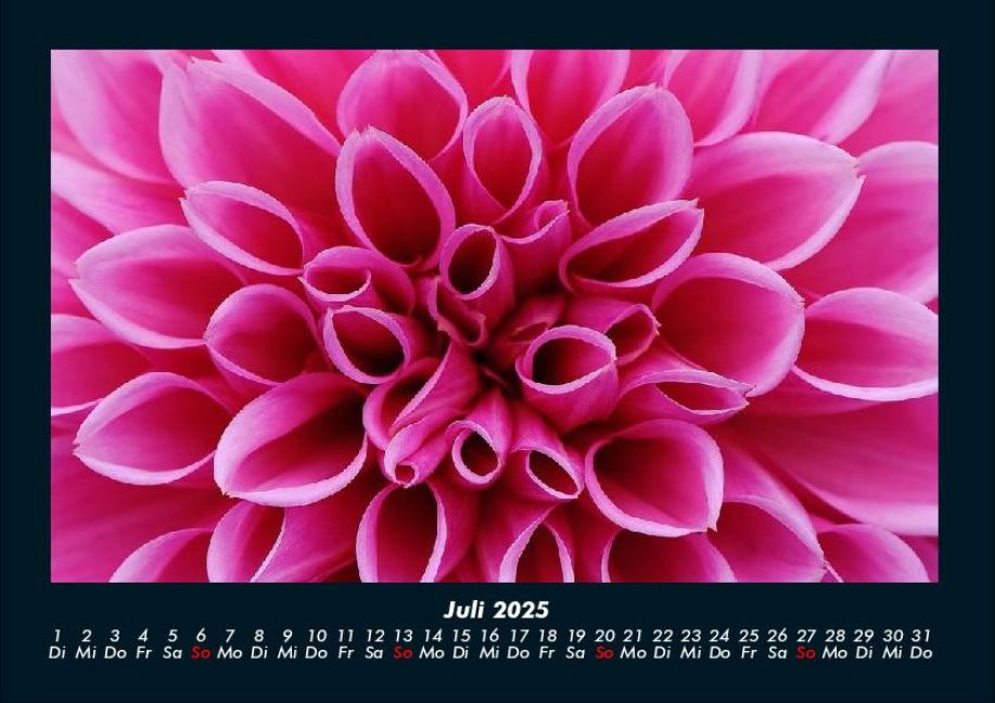InsideView 11