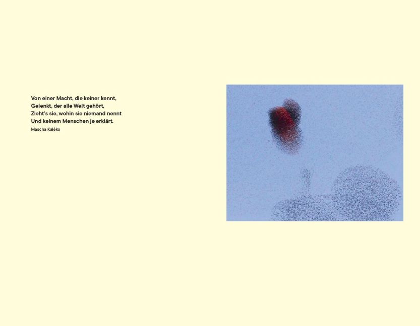 InsideView 6