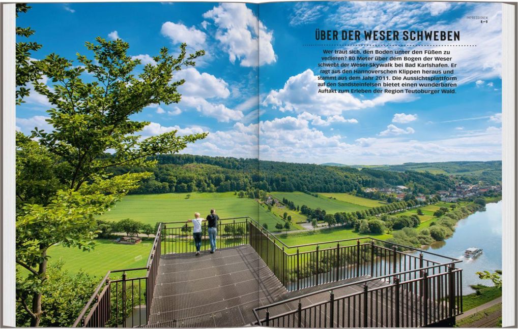 InsideView 3