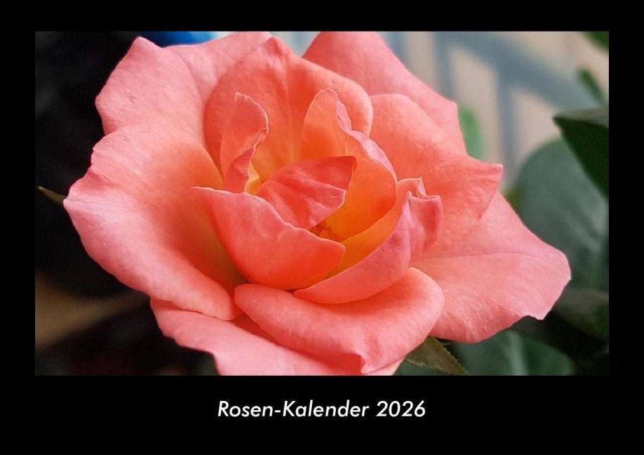 Rosen-Kalender 2026 Fotokalender DIN A3 - Tobias Becker