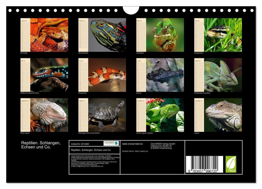 InsideView 5