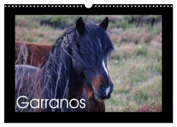 Garranos - Bedrohte Wildpferde Europas (Wandkalender 2026 DIN A3 quer), CALVENDO Monatskalender - Sabine Bengtsson/Www. Perlenfaenger. Com