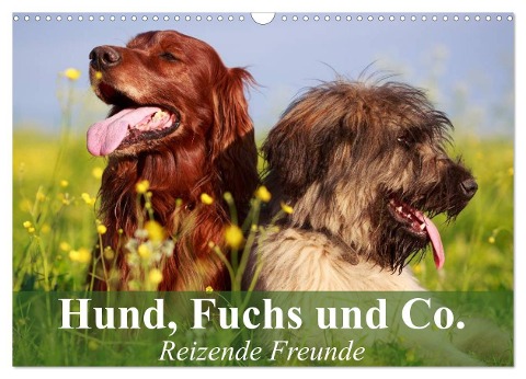 Hund, Fuchs und Co. Reizende Freunde (Wandkalender 2025 DIN A3 quer), CALVENDO Monatskalender - Elisabeth Stanzer
