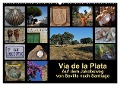 Via de la Plata - auf dem Jakobsweg von Sevilla nach Santiago (Wandkalender 2024 DIN A2 quer), CALVENDO Monatskalender - Rina B.