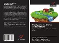 Cover-Bild zum Titel 'Praktyki zarz¿dzania ¿rodowiskiem' von 'Aurélio Ferreira Borges, Marco Túlio Silva Borges, Raquel Nogueira de Moraes'
