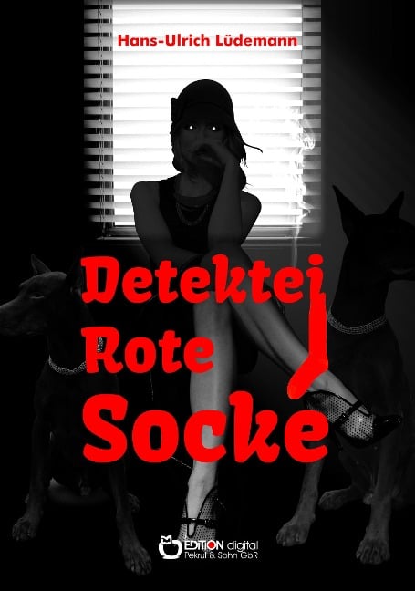 Detektei Rote Socke - Hans-Ullrich Lüdemann