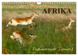 Afrika - Faszinierende Tierwelt (Wandkalender 2025 DIN A4 quer), CALVENDO Monatskalender - Nadine Haase