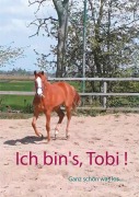 Cover-Bild zum Titel 'Ich bin's, Tobi !' von 'Tobi Först'