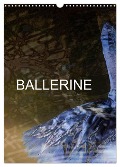 BALLERINE (Calendrier mural 2024 DIN A3 horizontal), CALVENDO calendrier mensuel - Anette/Thomas Jäger