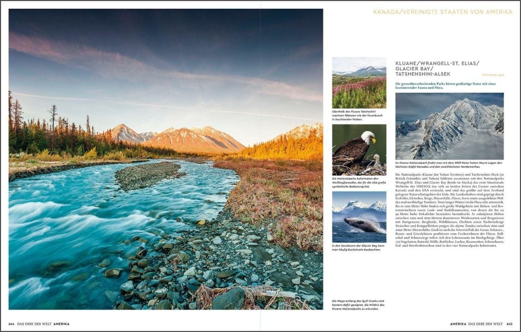 InsideView 11