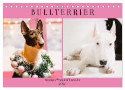 Bullterrier. Freudiges Wesen und Charakter (Tischkalender 2026 DIN A5 quer), CALVENDO Monatskalender - Rose Hurley