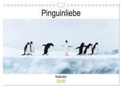 Cover-Bild zum Titel 'Pinguinliebe (Wandkalender 2026 DIN A4 quer), CALVENDO Monatskalender' von 'Same Same'