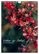 Kalender - Natur im Detail (Wandkalender 2026 DIN A4 hoch), CALVENDO Monatskalender - HIGHLIGHT. photo Maxi Sängerlaub