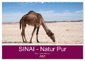 Sinai - Natur Pur (Wandkalender 2025 DIN A2 quer), CALVENDO Monatskalender - Claudia Wiens