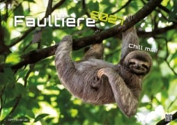 Cover-Bild zum Titel 'Faultiere - Chill mal! - 2027 - Kalender DIN A3' von ''