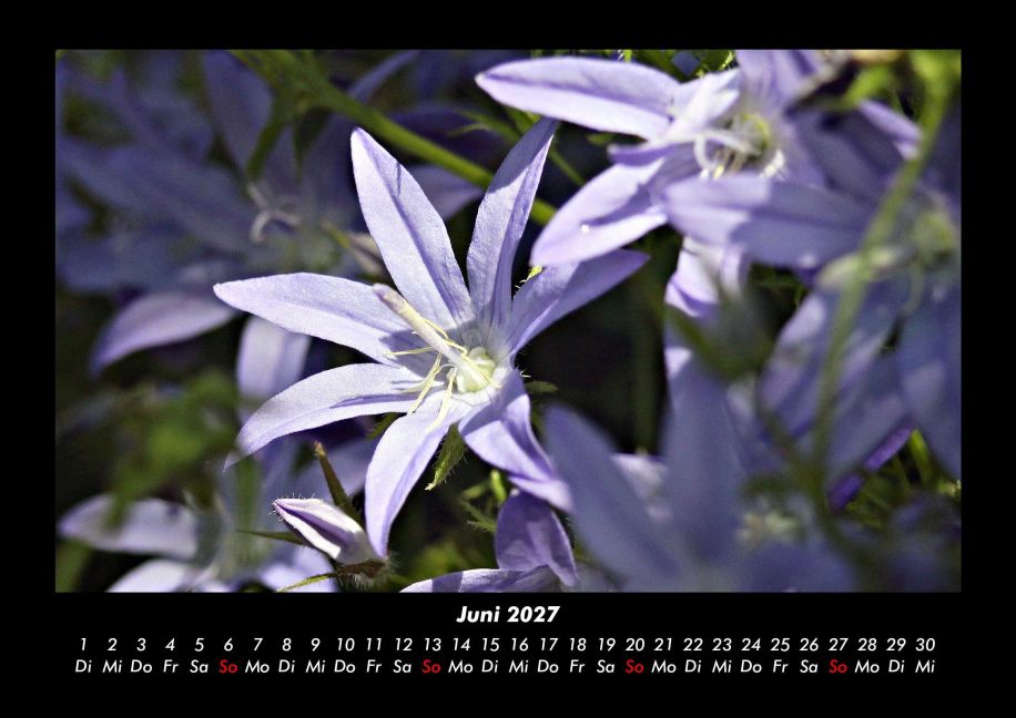 InsideView 10