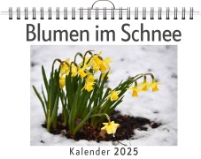 Cover-Bild zum Titel 'Blumen im Schnee' von 'David Friedrich'