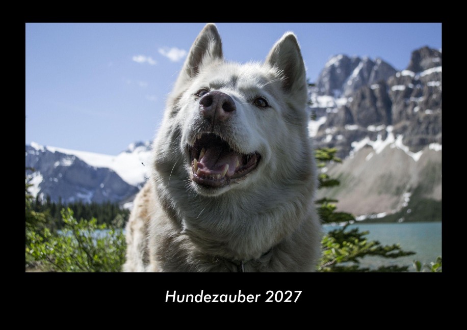 Hundezauber 2027 Fotokalender DIN A3 - Tobias Becker