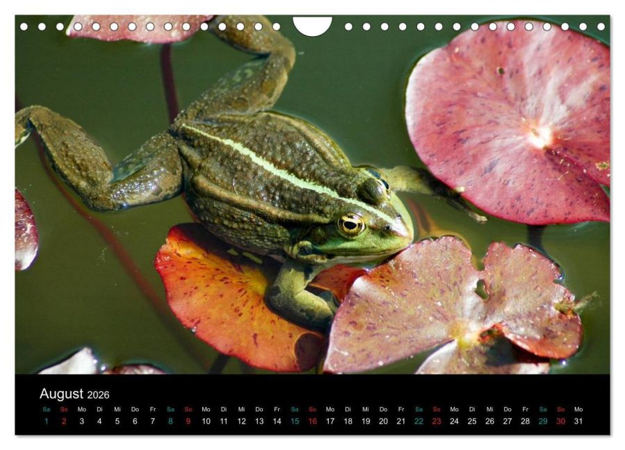 InsideView 13