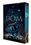 Cover-Bild zum Titel 'Dom' von 'S. J. Tilly'