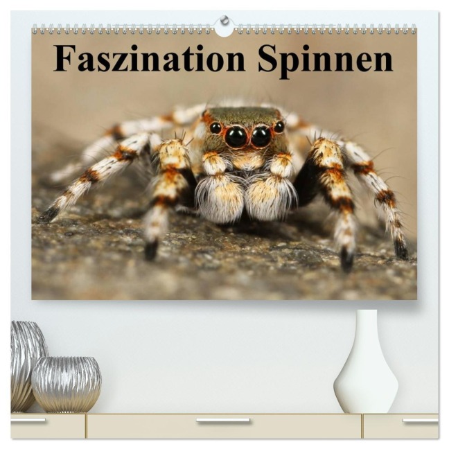 Faszination Spinnen (hochwertiger Premium Wandkalender 2026 DIN A2 quer), Kunstdruck in Hochglanz - Elisabeth Stanzer