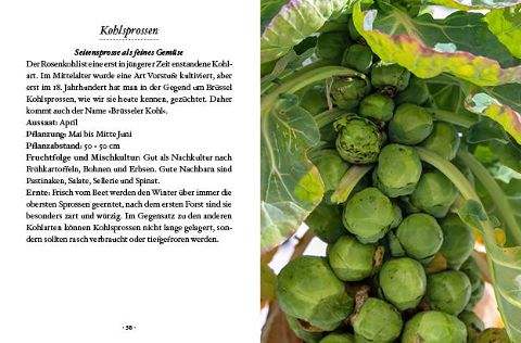 InsideView 5