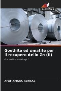 Cover-Bild zum Titel 'Goethite ed ematite per il recupero dello Zn (II)' von 'Afaf Amara-Rekkab'