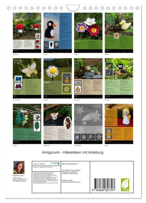 InsideView 5