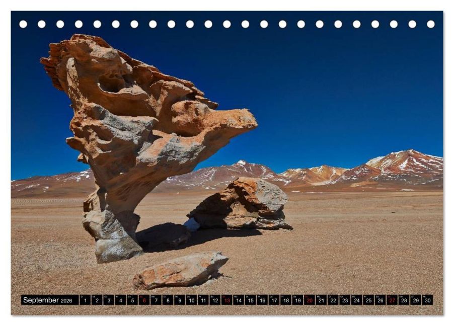 InsideView 14