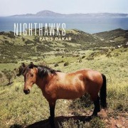 Cover-Bild zum Titel 'Paris-Dakar' von 'Nighthawks'