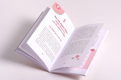 InsideView 4