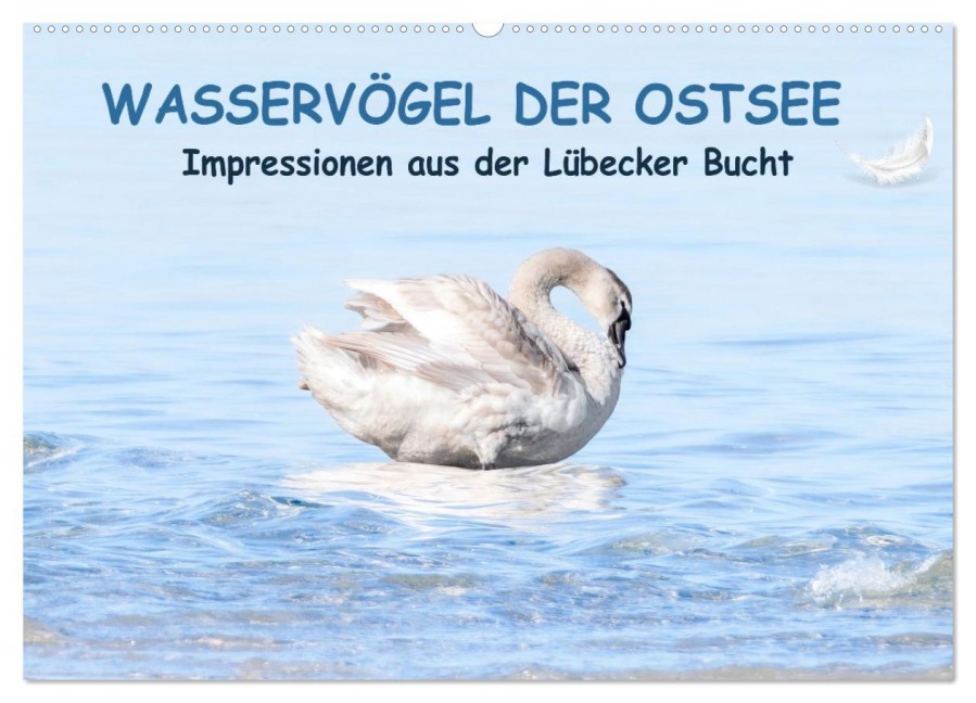 Wasservögel der Ostsee - Impressionen aus der Lübecker Bucht (Wandkalender 2026 DIN A2 quer), CALVENDO Monatskalender - Fotodesign Kathrin Lewandowski