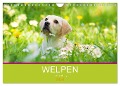 Welpen im Frühling (Wandkalender 2024 DIN A4 quer), CALVENDO Monatskalender - Judith Dzierzawa