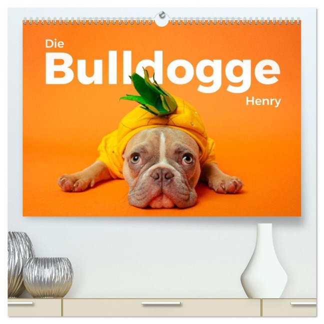 Die Bulldogge Henry (hochwertiger Premium Wandkalender 2026 DIN A2 quer), Kunstdruck in Hochglanz - M. Scott