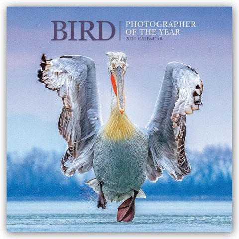 Bird - Vögel - Ausgezeichnete Fotografen des Jahres 2021 - 