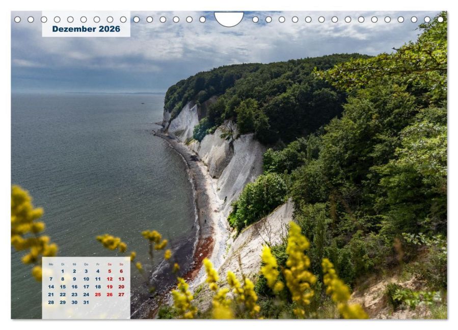 InsideView 4