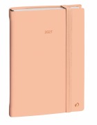 Cover-Bild zum Titel 'DAILY 21 COLOR ML Pastel orange El 2027' von ''