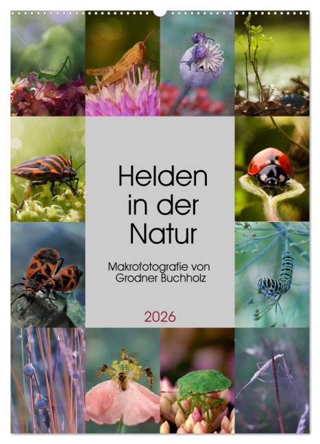 Helden in der Natur (Wandkalender 2026 DIN A2 hoch), CALVENDO Monatskalender - Joanna Grodner-Buchholz
