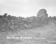 Cover-Bild zum Titel 'We Three Brothers' von 'Karel Jaromír Erben, Jan Jedli¿ka'