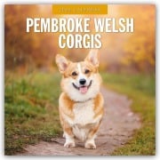 Pembroke Welsh Corgis - Pembroke Welsh Corgi 2026 - 16-Monatskalender - Robin Red