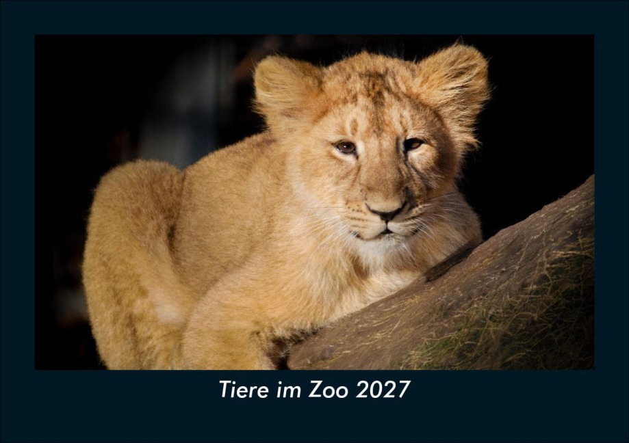 Tiere im Zoo 2027 Fotokalender DIN A5 - Tobias Schmitt, Kevin Heber