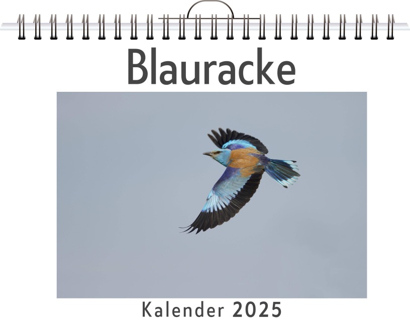 Blauracke - Nele Braun