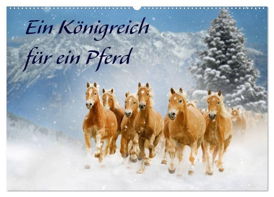 Ein Königreich für ein Pferd (Wandkalender 2026 DIN A2 quer), CALVENDO Monatskalender - Sigrid Starick